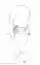 Fig. 02 - Rotatable holster