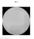 Fig. 02 - IN VITRO DETERMINATION OF SUNSCREEN PROTECTION BASED ON IMAGE ANALYSIS OF SUNSCREENS APPLIED TO SKIN