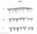 Fig. 03 - IN VITRO DETERMINATION OF SUNSCREEN PROTECTION BASED ON IMAGE ANALYSIS OF SUNSCREENS APPLIED TO SKIN
