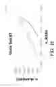 Fig. 17 - Photonic Optical Sensor and Method of Use Thereof