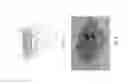 Fig. 06 - Chemical sensing device
