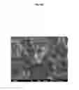 Fig. 06 - METHOD AND APPLICATION OF GaPO4 CRYSTAL MICROBALANCE TO HIGH ACID CRUDE CORROSION TESTING