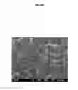 Fig. 07 - METHOD AND APPLICATION OF GaPO4 CRYSTAL MICROBALANCE TO HIGH ACID CRUDE CORROSION TESTING