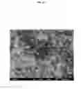 Fig. 08 - METHOD AND APPLICATION OF GaPO4 CRYSTAL MICROBALANCE TO HIGH ACID CRUDE CORROSION TESTING