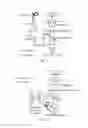Fig. 11 - Methods and systems for spatially identifying abnormal cells