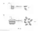 Fig. 04 - Composite Nanoparticle Structures for Chemical and Biological Sensing