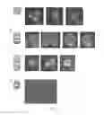 Fig. 14 - Composite Nanoparticle Structures for Chemical and Biological Sensing