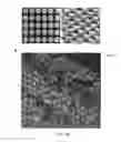 Fig. 15 - Composite Nanoparticle Structures for Chemical and Biological Sensing