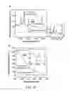 Fig. 20 - Composite Nanoparticle Structures for Chemical and Biological Sensing