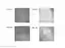 Fig. 06 - Substrates, devices, and methods for quantitative liquid crystal assays