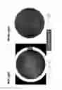Fig. 04 - Lighting domes with reflective gradient and broad spectrum light source