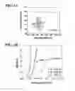 Fig. 08 - Stretchable ionics for transparent sensors and actuators