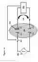 Fig. 42 - Methods for generating pH/ionic concentration gradient near electrode surfaces for modulating biomolecular interactions