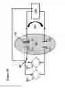 Fig. 49 - Methods for generating pH/ionic concentration gradient near electrode surfaces for modulating biomolecular interactions