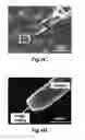 Fig. 07 - Particle concentration system