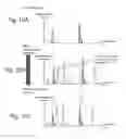 Fig. 05 - Analysis system