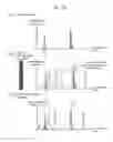 Fig. 16 - Analysis system