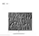 Fig. 03 - Method for detecting crystal grain boundaries of grapheme and device using method