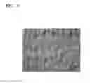 Fig. 04 - Method for detecting crystal grain boundaries of grapheme and device using method