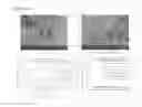 Fig. 08 - Methylbenzene gas sensor using chrome-doped nickel oxide nanostructures and method for producing same