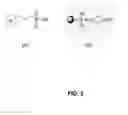 Fig. 03 - Determination of the distribution of reactive and non-reactive sulfur in petroleum and its fractions
