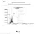 Fig. 08 - Determination of the distribution of reactive and non-reactive sulfur in petroleum and its fractions