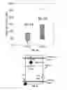 Fig. 05 - Method to sort cells on the basis of radionuclide uptake