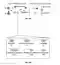 Fig. 06 - Method to sort cells on the basis of radionuclide uptake