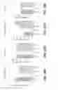 Fig. 29 - METHODS FOR IDENTIFYING NEUROPROTECTIVE PKC ACTIVATORS