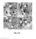 Fig. 56 - METHODS FOR IDENTIFYING NEUROPROTECTIVE PKC ACTIVATORS