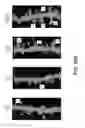 Fig. 62 - METHODS FOR IDENTIFYING NEUROPROTECTIVE PKC ACTIVATORS
