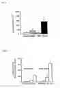 Fig. 06 - METHOD OF MEASURING HUMAN CYP3A INDUCIBILITY