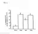 Fig. 09 - METHOD OF MEASURING HUMAN CYP3A INDUCIBILITY