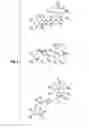Fig. 06 - FLUORESCENT MARKERS AND METHODS FOR IMAGING DISEASES
