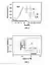 Fig. 08 - FLUORESCENT MARKERS AND METHODS FOR IMAGING DISEASES
