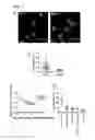 Fig. 07 - Compositions and methods for predicting age of onset of a lysosomal storage disease or a disease associated with a lysosomal defect