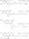 Fig. 29 - SITE-SPECIFIC LABELING OF AFFINITY TAGS IN FUSION PROTEINS