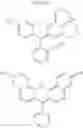 Fig. 08 - Multisignal labeling reagents and processes and uses therefor