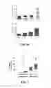 Fig. 03 - Systems And Methods For Early Detection Of Cervical Cancer By Multiplex Protein Biomarkers