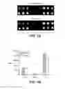 Fig. 04 - PLASMONIC SUBSTRATE FOR MULTIPLEX ASSESSMENT OF TYPE 1 DIABETES