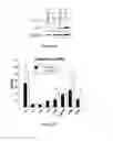 Fig. 20 - METHODS OF DIAGNOSING AND TREATING FIBROSIS