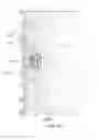 Fig. 12 - NUCLEAR MAGNETIC RESONANCE APPARATUS AND METHODS