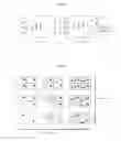 Fig. 02 - Method and system for determining a corrected value of magnetic resonance relaxometry data of a subject's visceral tissue for extracellular fluid based on a normal iron content for the visceral tissue