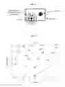 Fig. 05 - Method and system for determining a corrected value of magnetic resonance relaxometry data of a subject's visceral tissue for extracellular fluid based on a normal iron content for the visceral tissue
