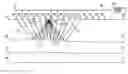 Fig. 01 - Method for Acquiring Passive Seismic Data Using a Backbone Array