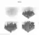 Fig. 07 - Well treatment with digital core analysis