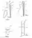 Fig. 03 - EYEWEAR HOLDER