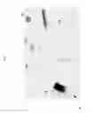 Fig. 06 - DEVICE FOR RAPID DETACHMENT OF EYEWEAR