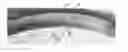 Fig. 01 - Molded Lens