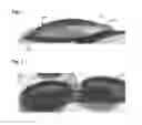 Fig. 02 - Molded Lens